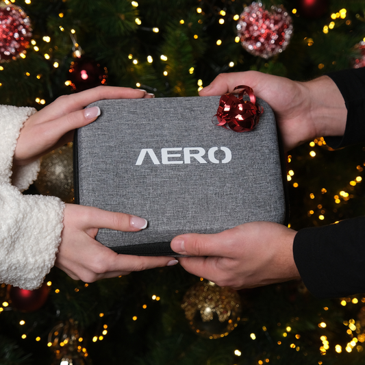 Sac de transport Aeromax